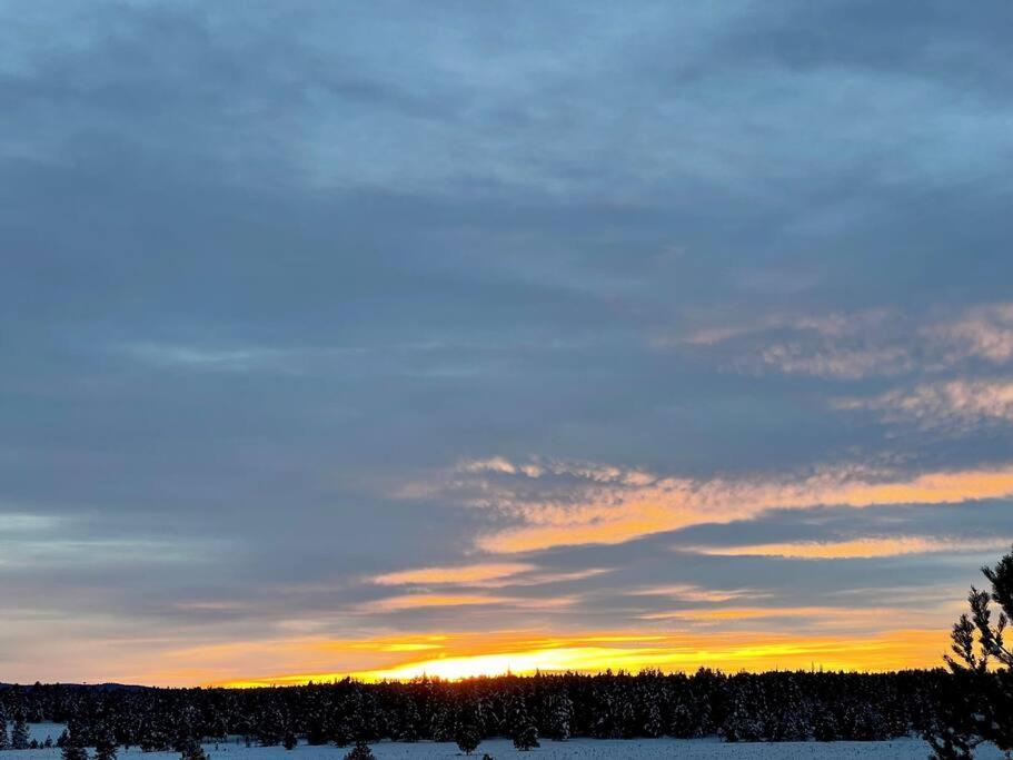 3505 Joseph Dr Cabin With Breathtaking Views, 30 Miles To Yellowstone アイランド・パーク エクステリア 写真